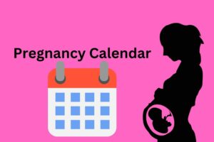 Navigating the Pregnancy Journey: A Comprehensive Guide to Your Calendar