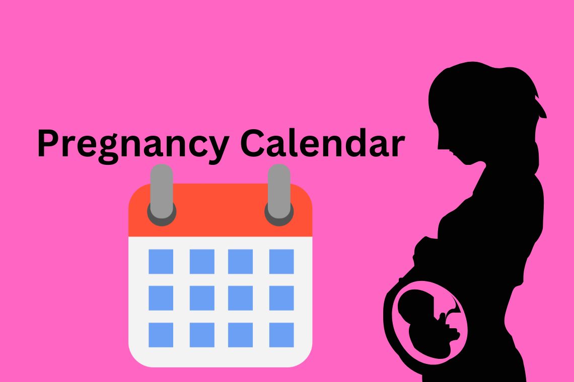 Pregnancy Calendar Interactive