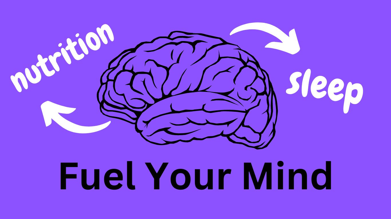 brain nutrition function